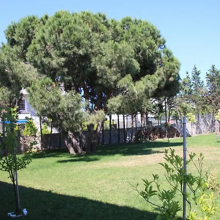 Mavi Koy Beach Resort Hotel