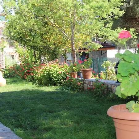 Szálloda Mavi Koy Beach Resort 4*
