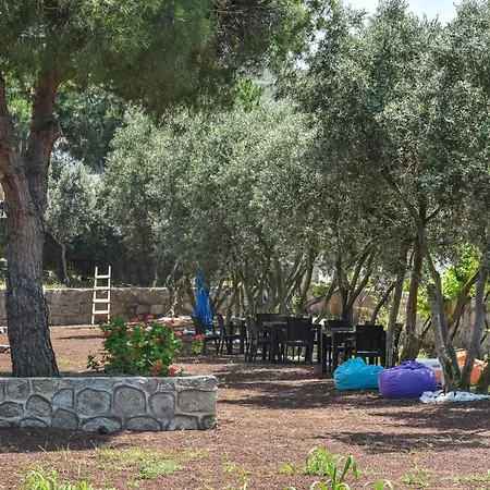 Hotel Mavi Koy Beach Resort