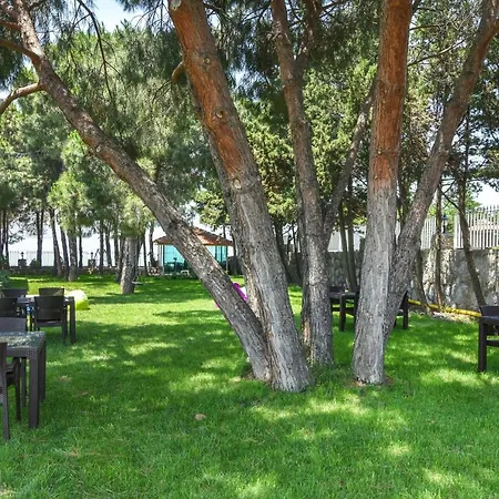 Mavi Koy Beach Resort Hotel Marmara Adasi