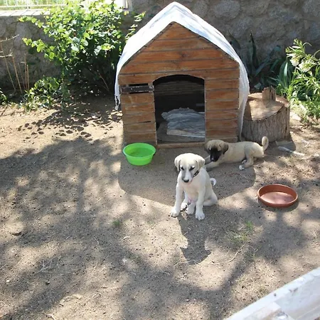 Mavi Koy Beach Resort 4*