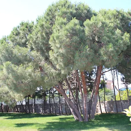 Mavi Koy Beach Resort Marmara Adasi