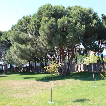 Mavi Koy Beach Resort Hotel Marmara Adasi