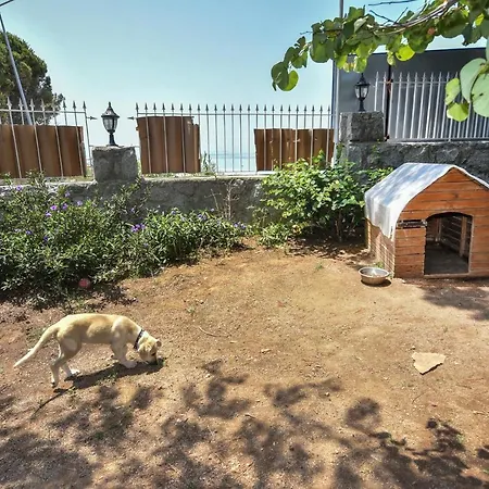 Mavi Koy Beach Resort Ξενοδοχείο 4*