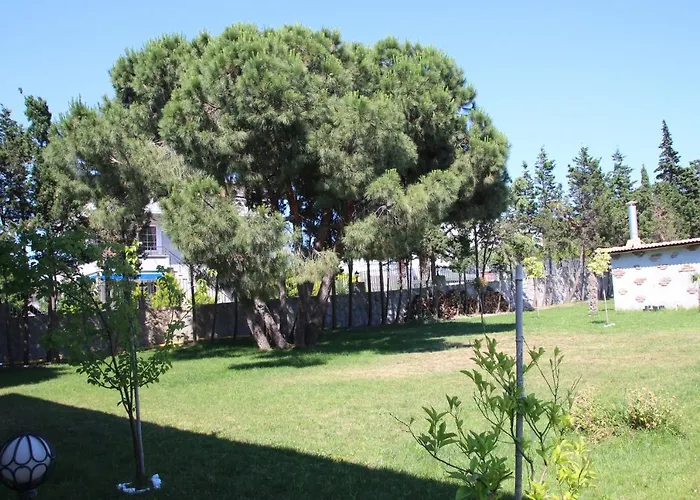 Mavi Koy Beach Resort 호텔