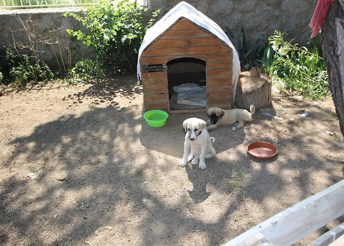 Mavi Koy Beach Resort 4*