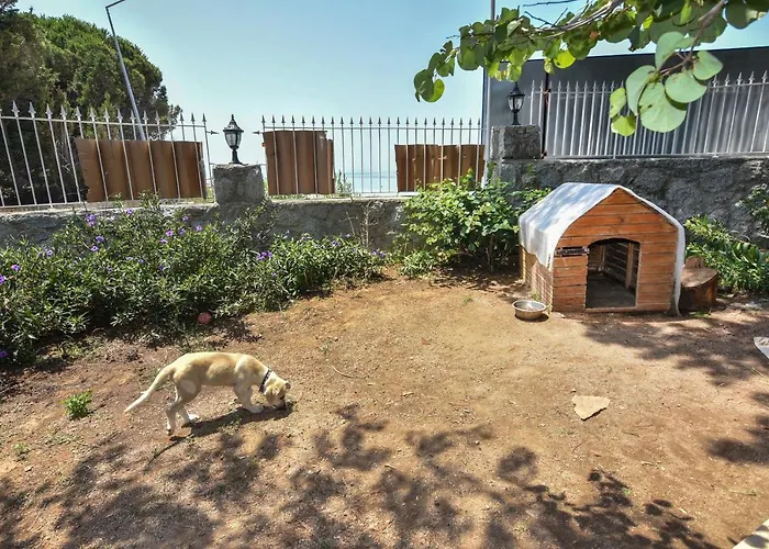 Mavi Koy Beach Resort 호텔 4*